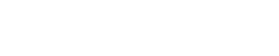 Catcloud 猫云加速器